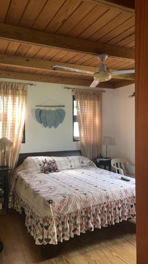Manaya Bed & Breakfast 푼타 카나 외부 사진